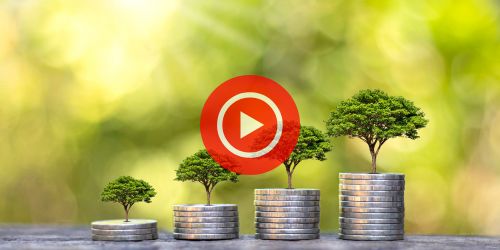 Success Videos